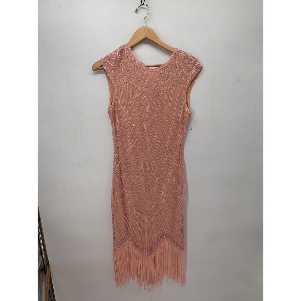 Fundaisy Royal Pink Sequin Flapper Dress 1920s Gatsby Fringe Costume Women's S